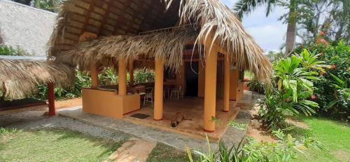 . Casa 3 amigos-Palm roofed house