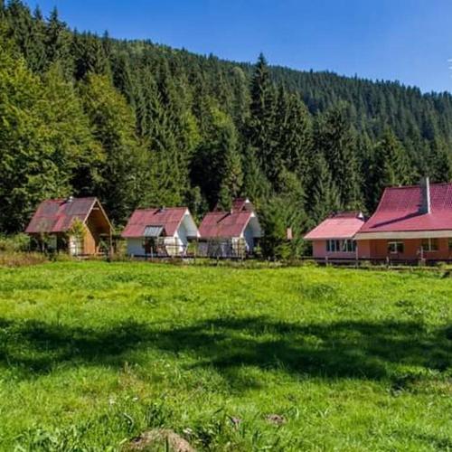 . Cabana Valea Stanciului