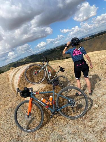 蒙塔佩提农家乐