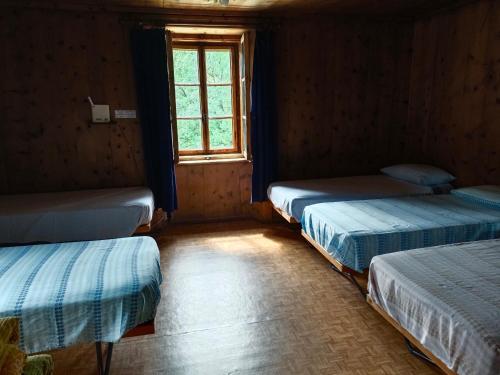 6-Bed Mixed Dormitory Room