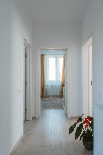 Solomon Apartments Ap 4 in Ernei