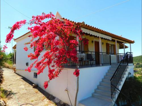 Nirvana Guest House in Vasilitsi