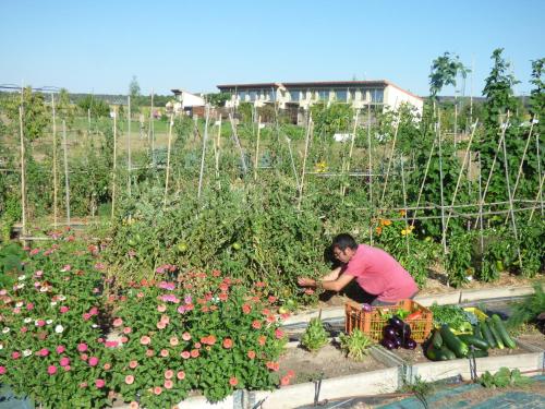 Hotel Rural Bioclimático Sabinares del Arlanza