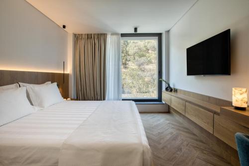 Double Room with Mountain View