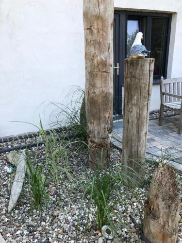 Strandgut und Feuerstein in Gustow