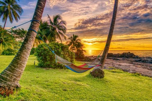 The 10 Best Restaurants in Montezuma, Costa Rica