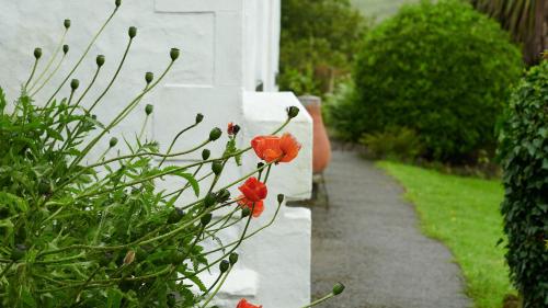 Hawthorn Cottage