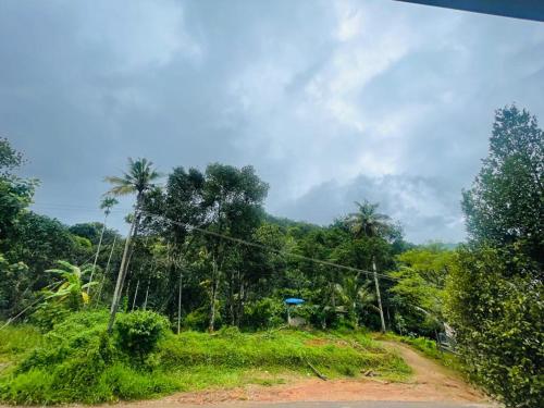 NIDHRA HOMESTAY - image 4