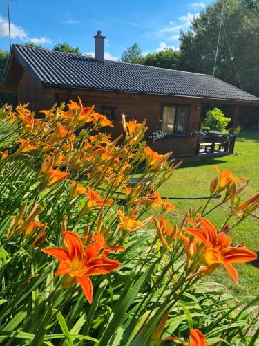 Atostogų namelis-pirtis Prie upės Atostogų namelis-pirtis Prie upės