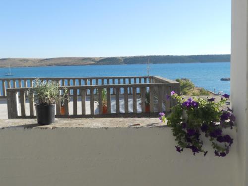  Apartment Casa Ezio, Unterkunft in Ljubač