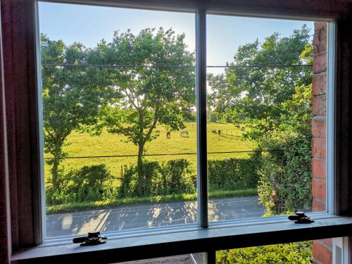 Stunning New Forest Cottage close to Paultons Park in Ower