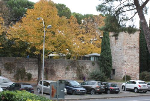 Affittacamere Parco dei Canape
