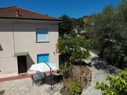  Il giardino delle Cycas in Il Romito
