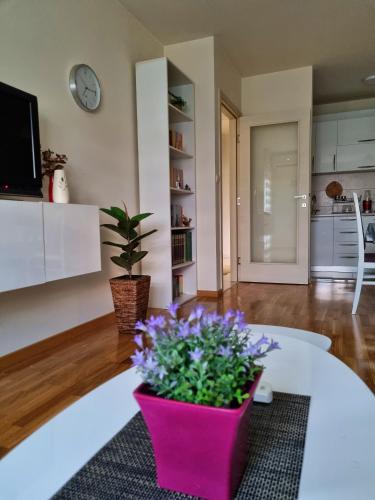 Riverside Apartment Riverside Apartment