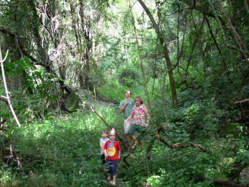 Magoebaskloof Getaway