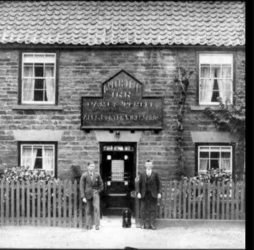 The Tree House The Tree House