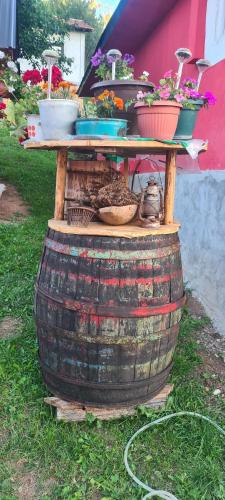Vila Medo