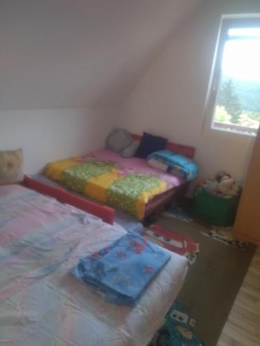 Bor, Savaca - Porodicna Vikendica za Izdavanje