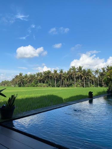 Casa Avana – Ubud, ID