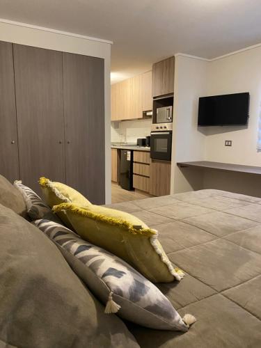 Tesis özellikleri, Increíble Departamento Studio - Centro Antofagasta (Increible Departamento Studio - Centro Antofagasta) in Antofagasta