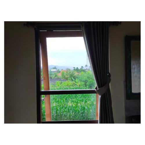 Medewi Surf Homestay – Pekutatan, WY