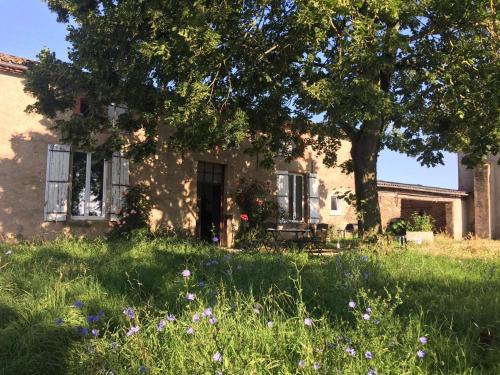 Chambres d'hôtes Les Pieds dans l'herbe - Saint-Julien-Gaulène