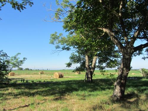 Chambres d'hôtes Les Pieds dans l'herbe