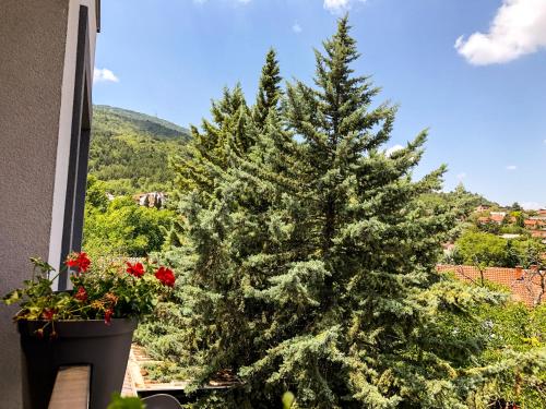 HILLTOP Luxury Apartment with Free Parking, Skopje (photo 8)