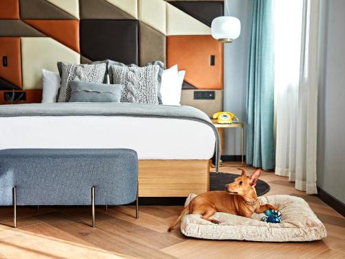 King Suite de Vivi