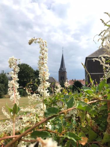  Pipowagen Jasmijn bij Pipowagen en kampeerhoeve s Gravenhof in Netterden