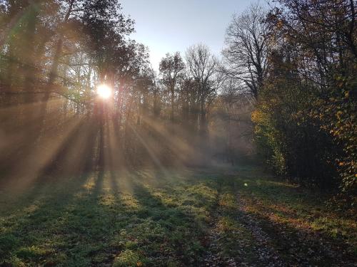 O'Blanche, Viroinval Treignes