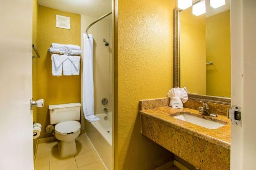 Comfort Inn & Suites Kissimmee By the Parks