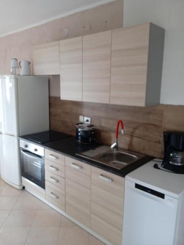 Apartments Ribic in Umag