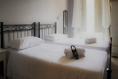 Affittacamere ALBA, Florencie (fotografie 5)