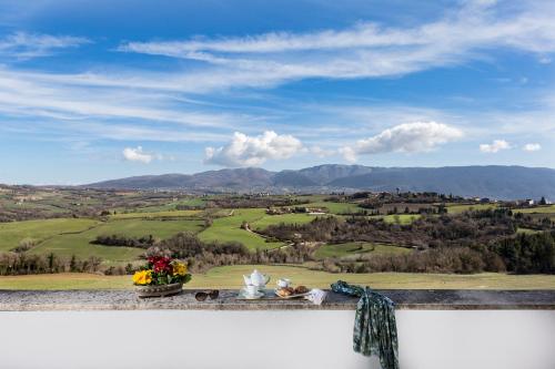 . La Collina di Collevalenza