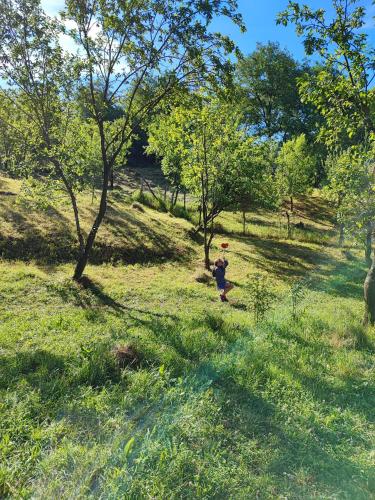 La sat - Mândră Ioană La sat - Mândră Ioană