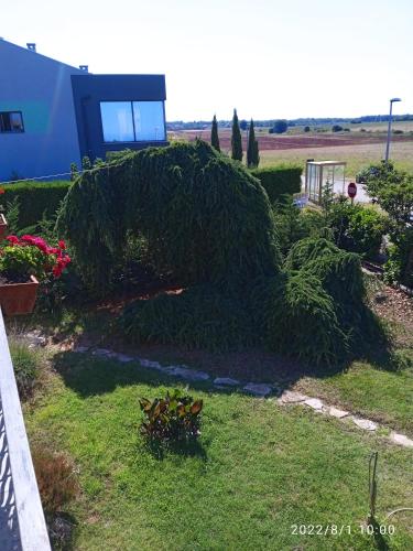  Apartments Ribić in Umag