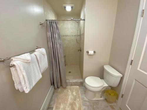 O7 Slopeside Bretton Woods Resort cottage with upscale stylings cozy decor tons of space! - image 6