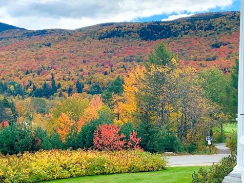 OR Luxury 'yurt-like' home in Bretton Woods with private beach firepit AC fishing and trails! - image 4