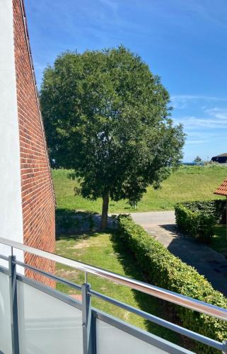 1017 - Haus am Deich WG 2 in Dahme