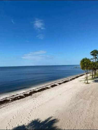 Lagniappe - a little something extra on the Gulf in Carrabelle