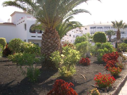 Regency Torviscas Apartments and Suites - image 12