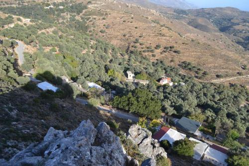  Garden Of Olive Trees in Asfendhilés