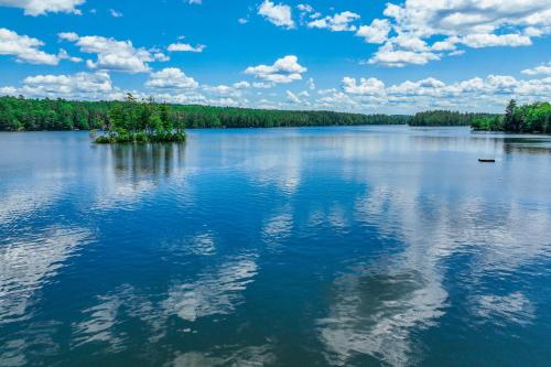Falling Pines Falling Pines