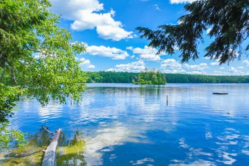 Falling Pines Falling Pines