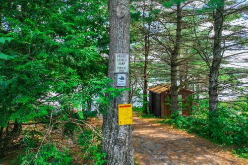 Falling Pines Falling Pines