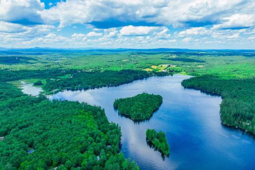 Falling Pines Falling Pines