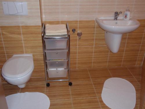Apartmán Janoušek - image 7