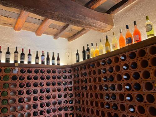 Villa Rigacci Hotel - image 10