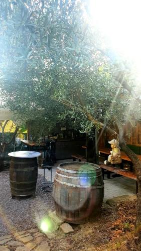 Little Brioni Little Brioni